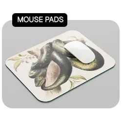 mousepad-yessmess.in-yessmess.india